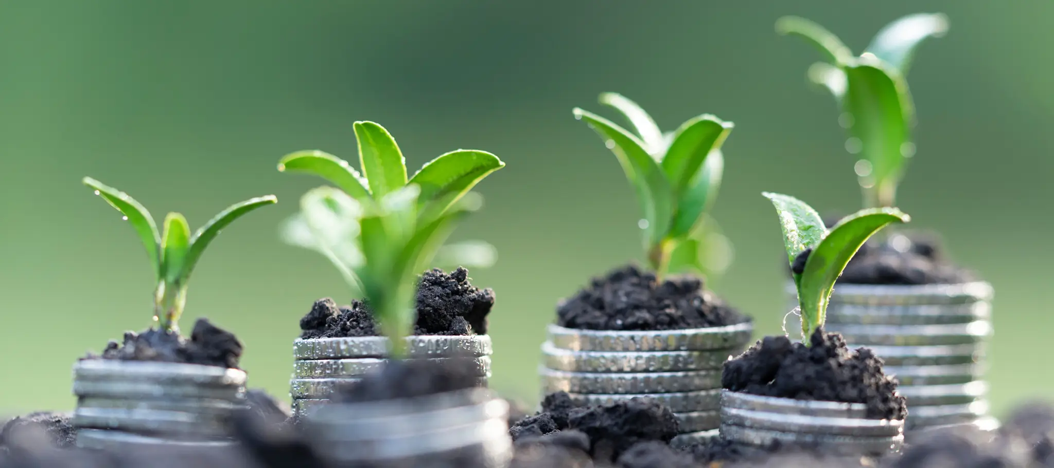Farm Financing Basics